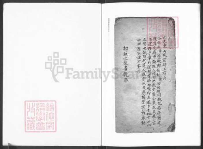 山东省济南市历城区王氏族谱-西顿邱王氏北支族谱.pdf电子版插图1