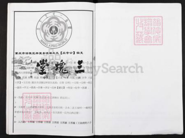 重庆市涪陵区王氏三槐堂族谱-王氏族谱.西蜀涪州榟里东流溪(应奇公)王氏宗支世系.pdf电子版插图1