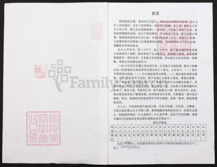 重庆市綦江区王氏族谱-滥田嘴王氏族谱副刊本.pdf电子版插图1