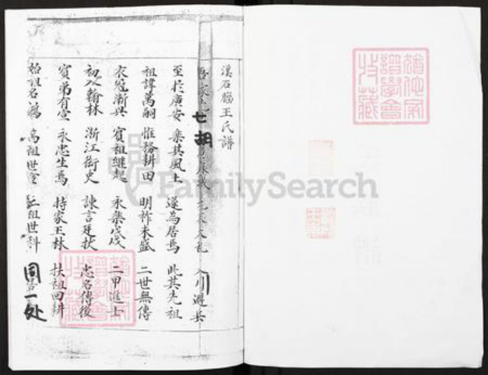 四川省广安市广安区王氏族谱-王氏族谱.pdf电子版插图1