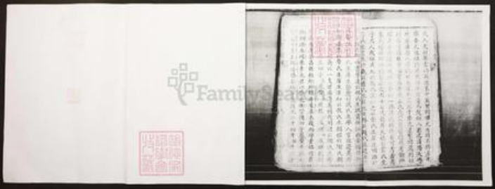 四川省泸州市江阳区王氏族谱-王氏家谱.pdf电子版插图1