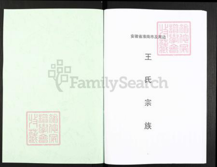 安徽省淮南市潘集区平圩镇王氏三槐堂族谱-王氏宗谱.pdf电子版插图1