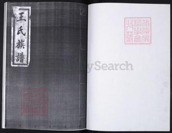 山东省青岛市崂山区王氏族谱-南北岭社区王氏族谱.pdf电子版插图1