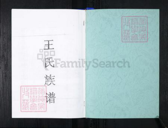 山东省青岛市王氏族谱-流亭红端口村王氏族谱.pdf电子版插图1