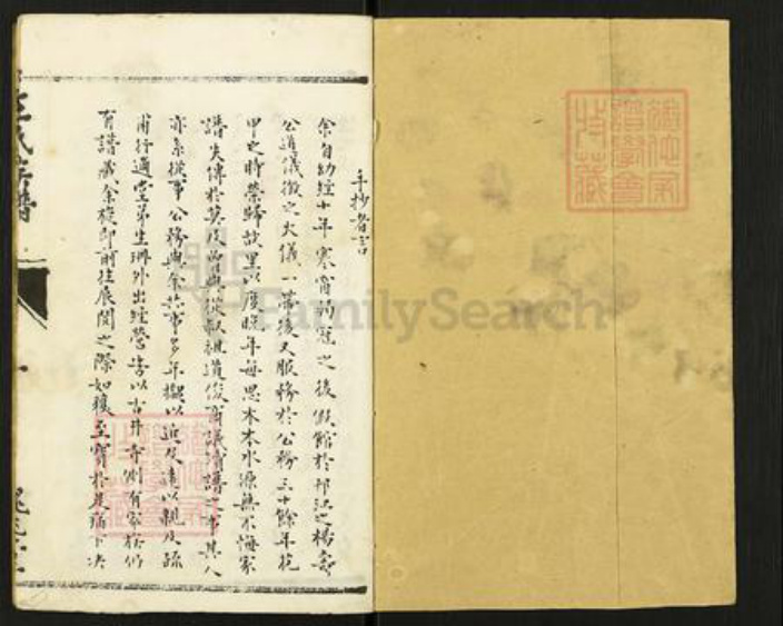 江苏省扬州市仪征市大仪镇王氏槐兆堂族谱-王氏族谱.pdf电子版插图1