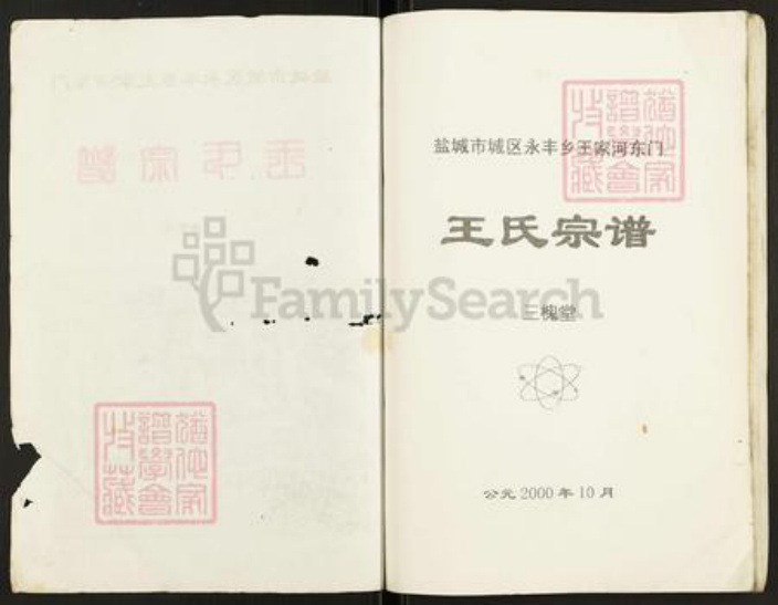 江苏省盐城市亭湖区新兴镇王氏三槐堂族谱-王氏宗谱.pdf电子版插图1