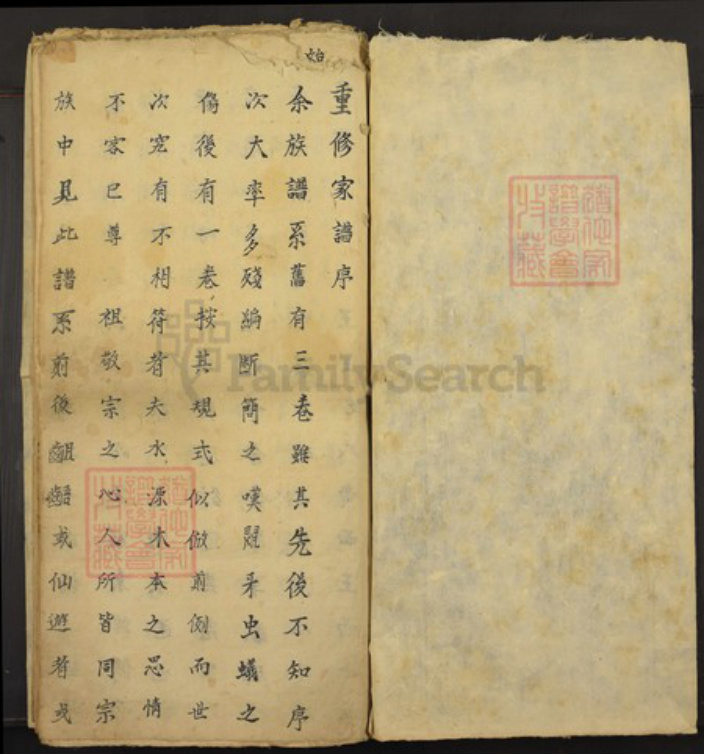 山西省王氏族谱-王氏宗谱.pdf电子版插图1