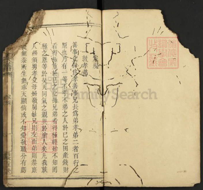 江西省罗氏族谱-罗氏族谱.pdf电子版插图1 江西省罗氏族谱-罗氏族谱.pdf电子版插图1