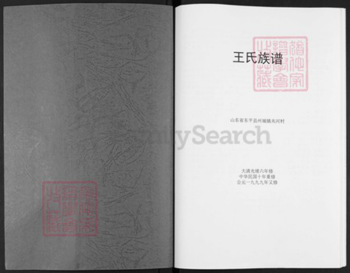 山东省泰安市东平县州城街道王氏族谱-王氏族谱.pdf电子版插图1