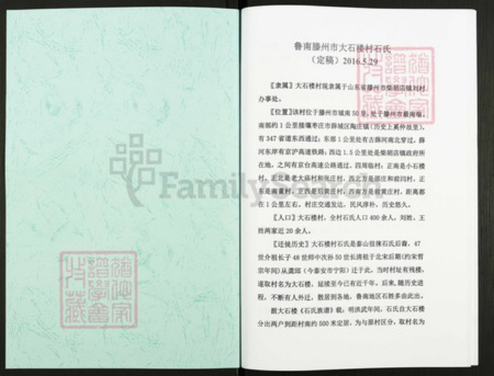 山东省枣庄市滕州市石氏族谱-鲁南滕州市大石楼村石氏.pdf电子版插图1