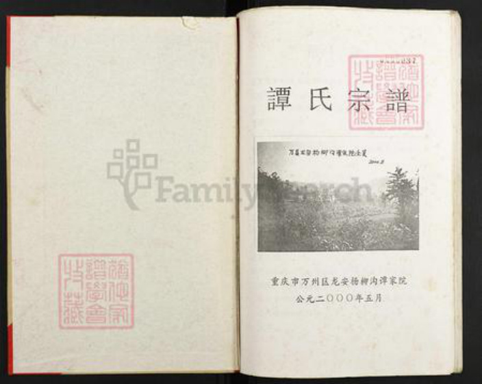 重庆市万州万县龙驹镇谭氏族谱-谭氏宗谱.pdf电子版插图1