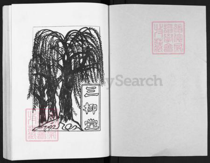 江苏省淮安市金湖县汤氏三柳堂族谱-汤氏宗谱.pdf电子版插图1