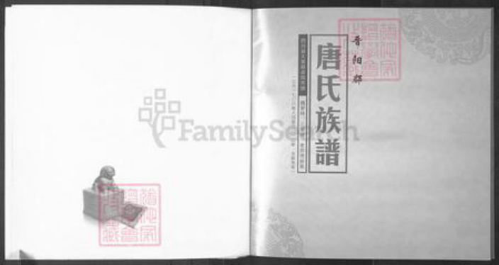 四川省遂宁市大英县唐氏族谱-唐氏族谱.pdf电子版插图1 四川省遂宁市大英县唐氏族谱-唐氏族谱.pdf电子版插图1