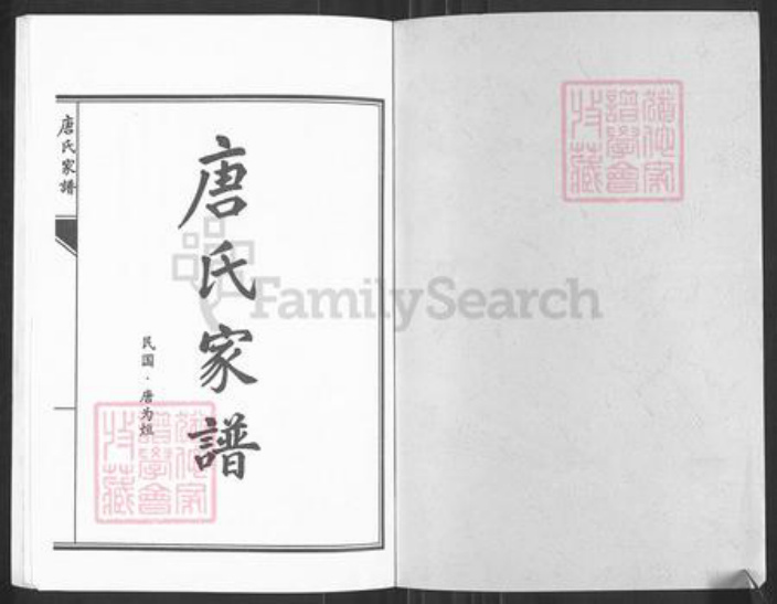 湖南省永州市零陵区唐氏族谱-唐氏家谱.pdf电子版插图1