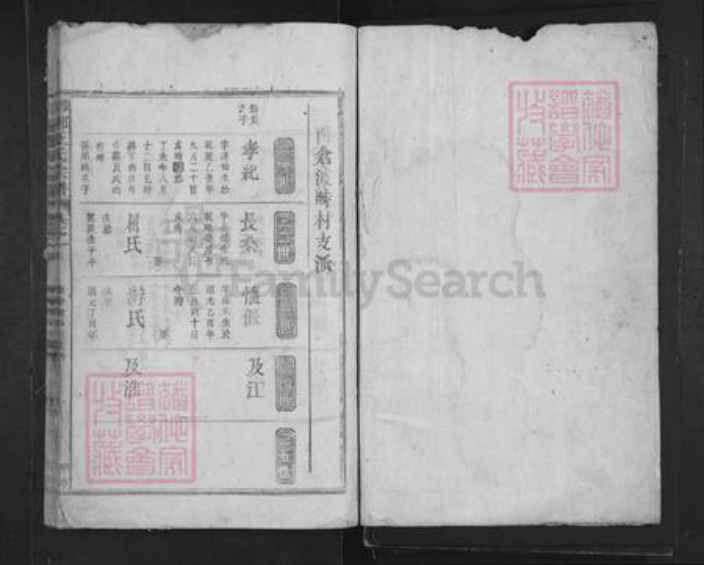 山东省临沂市临沂市王氏族谱-琅琊王氏宗谱.pdf电子版插图1