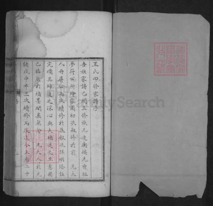 河北省沧州东光县王氏族谱-王氏家谱.pdf电子版插图1