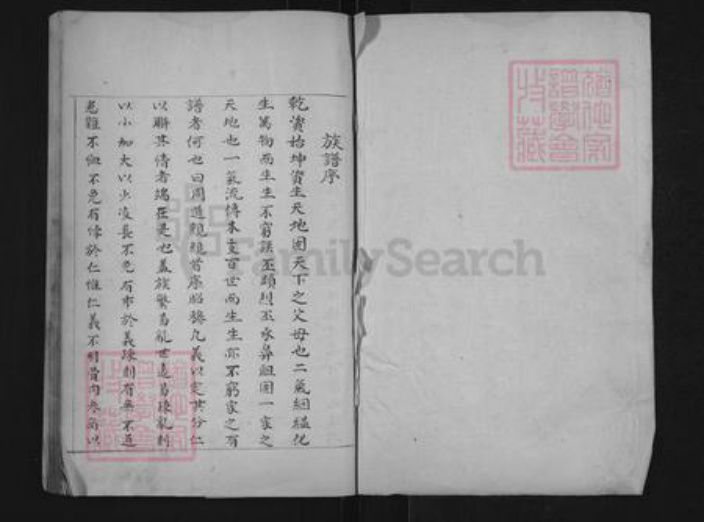 山东省滨州市惠民县李庄镇王氏族谱-王氏世谱.pdf电子版插图1