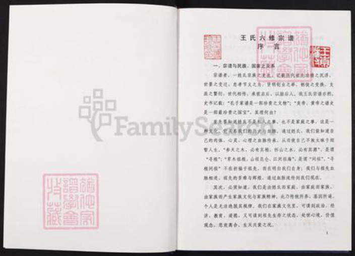 重庆市石砫土家族自治县王氏族谱-中华民族太原王氏族谱.pdf电子版插图1