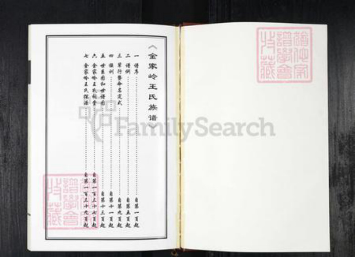 山东省青岛市王氏族谱-金家岭王氏族谱.pdf电子版插图1 山东省青岛市王氏族谱-金家岭王氏族谱.pdf电子版插图1