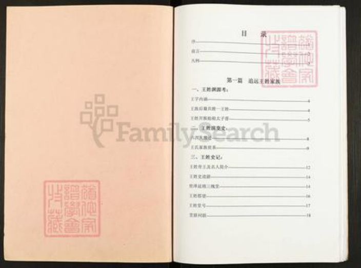 江苏省扬州市仪征市大仪镇王氏三槐堂族谱-王氏家谱.pdf电子版插图1