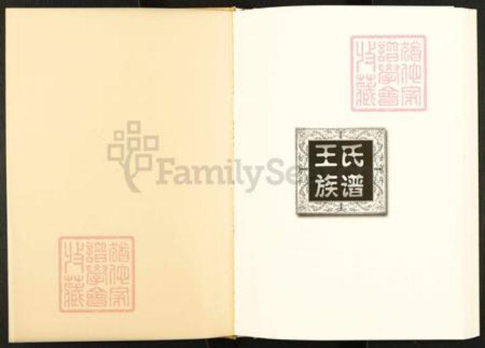 四川省南充市仪陇县日兴镇王氏三槐堂族谱-王氏族谱.pdf电子版插图1