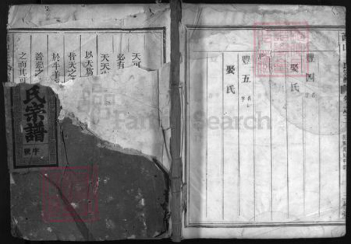 浙江省王氏族谱-西山王氏宗谱 [3卷].pdf电子版插图1