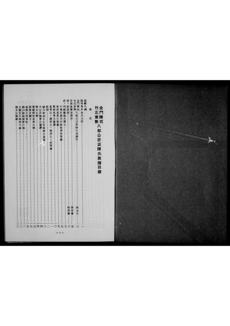 福建陈氏族谱-金门陈坑竹北东势八郎公宗派陈氏族谱.pdf电子版插图1