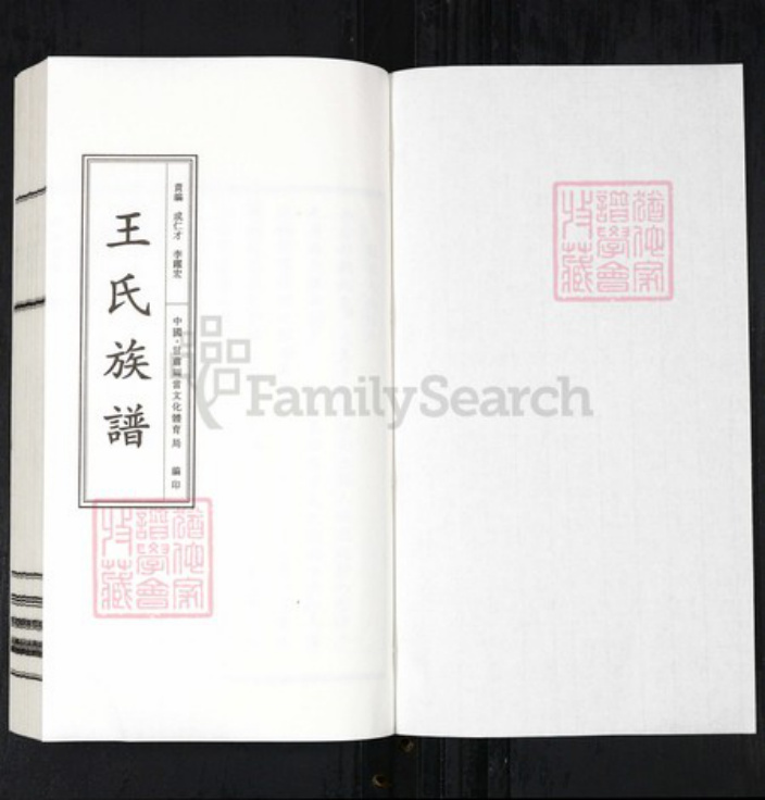 江西省九江市德安县王氏三槐堂族谱-王氏族谱.pdf电子版插图1