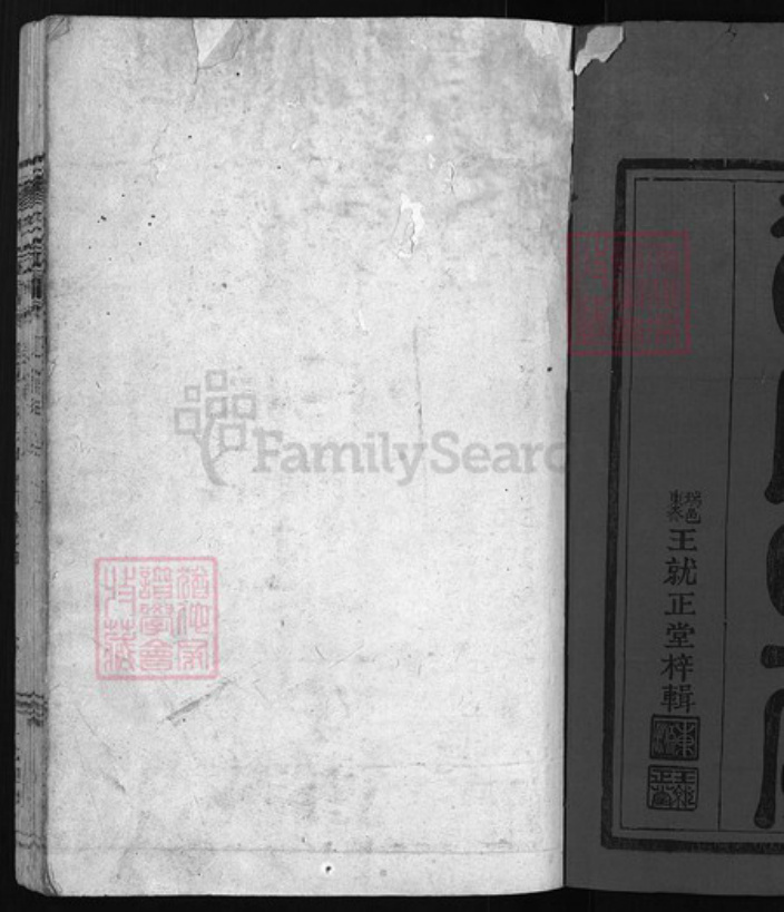 浙江省温州市平阳县廖氏族谱-廖氏宗谱 [残卷].pdf电子版插图1