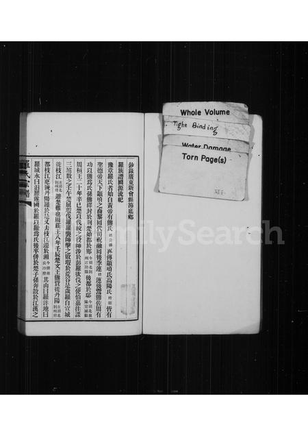 福建罗氏族谱-罗氏族谱.pdf电子版插图1