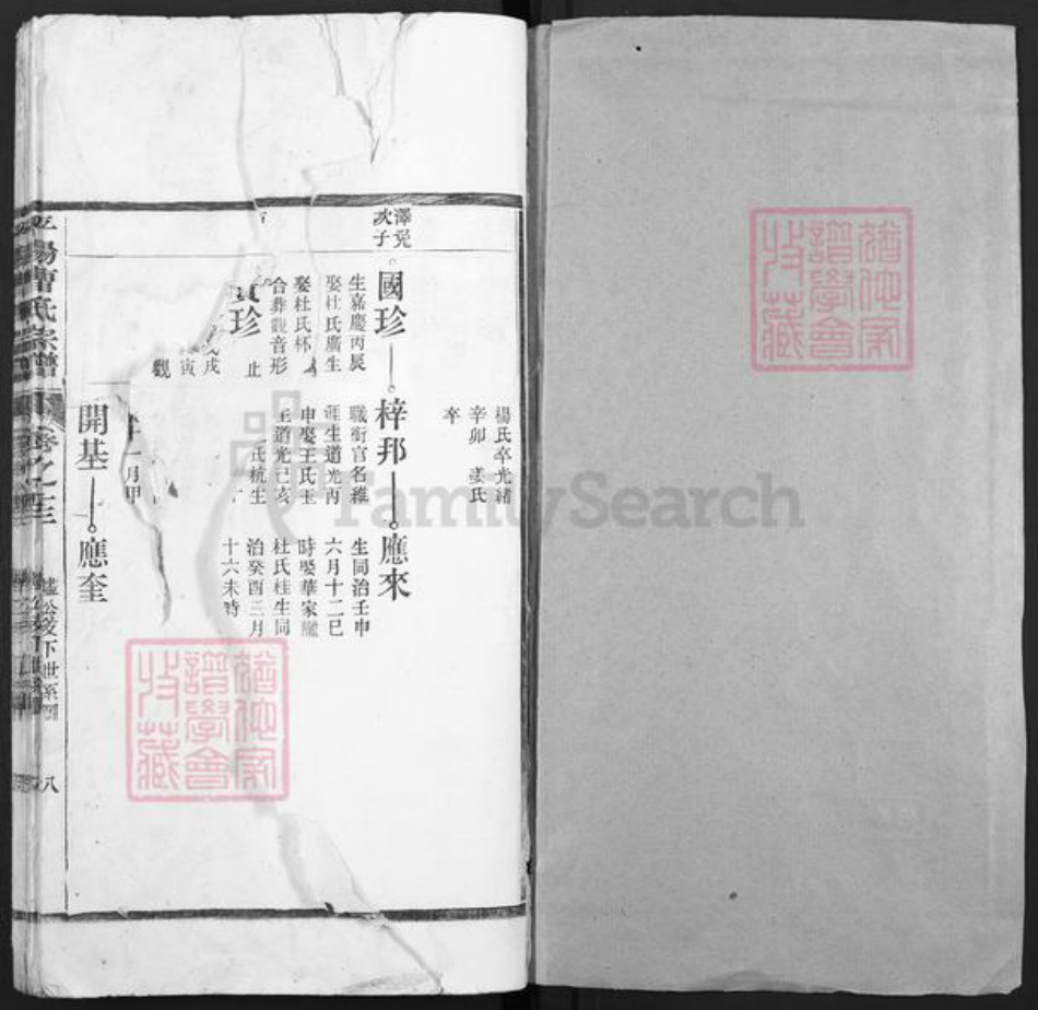 浙江省温州市曹氏族谱-平阳曹氏宗谱.pdf电子版插图1