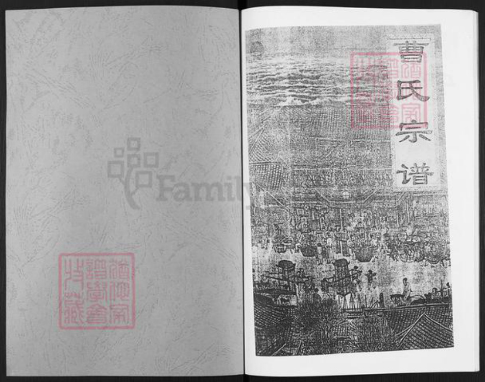 安徽省阜阳市阜南县新村镇曹氏族谱-曹氏宗谱.pdf电子版插图1