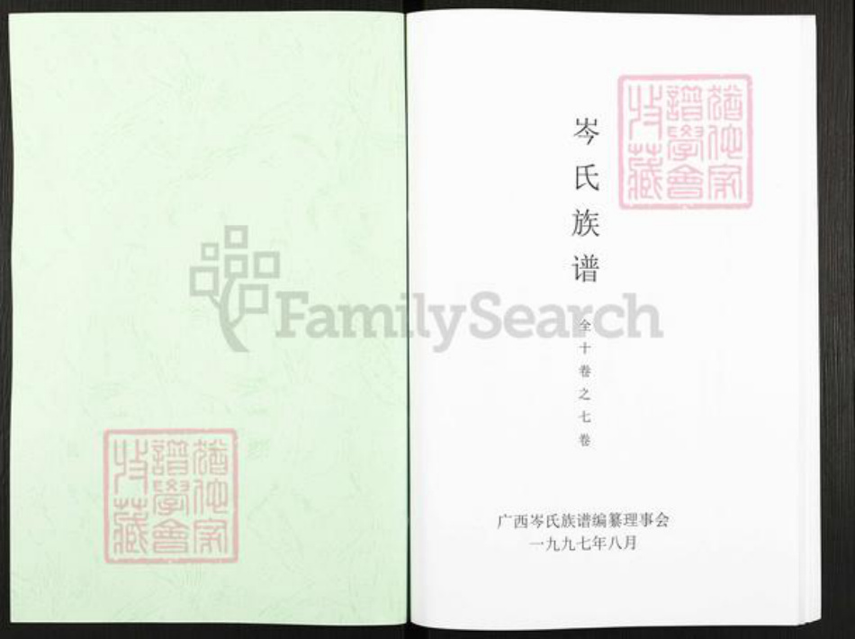 广西壮族自治区玉林平南大鹏镇岑氏族谱-岑氏族谱.pdf电子版插图1