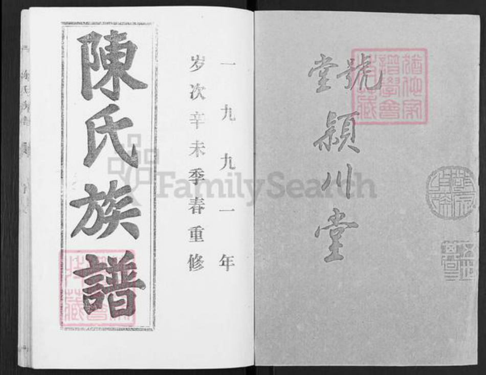 山东省济宁市微山县韩庄镇陈氏颖川堂族谱-陈氏族谱.pdf电子版插图1