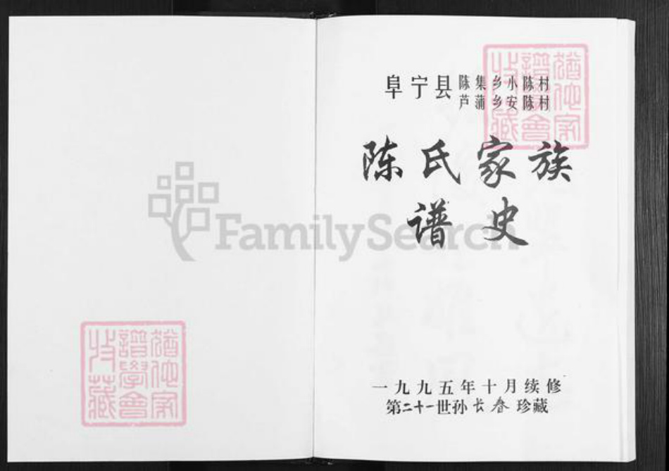 江苏省盐城市阜宁县陈集镇陈氏族谱-陈氏家谱.pdf电子版插图1