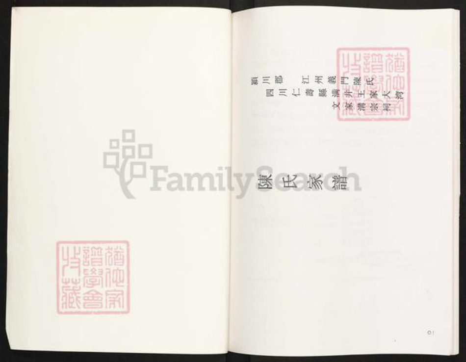 四川省眉山市眉山陈氏族谱-陈氏家谱.颍川郡江州义门陈氏四川仁寿县满井王家大湾.pdf电子版插图1