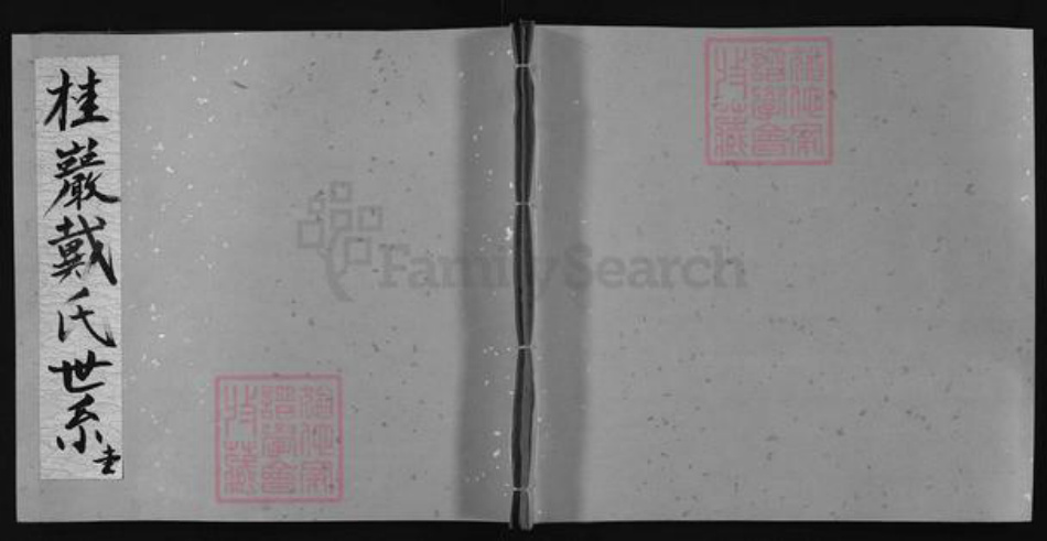 江西省上饶市戴氏族谱-桂岩戴氏世系 [不分卷].pdf电子版插图1