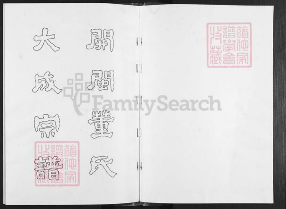 福建省厦门市翔安区新店镇董氏族谱-董氏董水宗谱.pdf电子版插图1