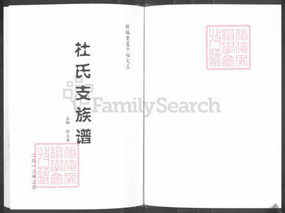 山东省淄博市淄川区杜氏族谱-新编黄崖千峪大王.杜氏支族谱.pdf电子版插图1