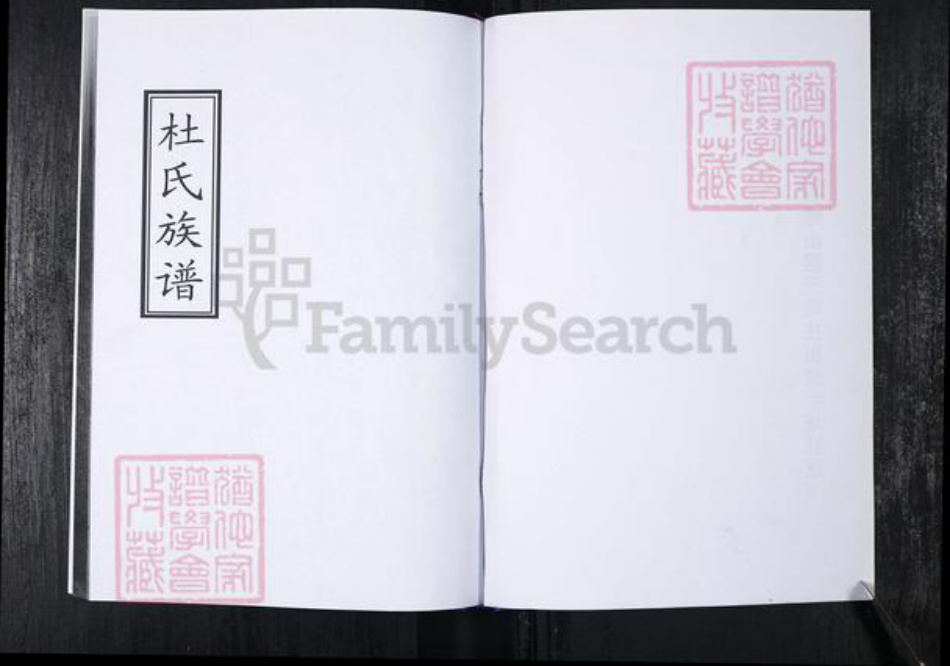 山东省青岛市崂山区杜氏族谱-会场社区杜氏族谱.pdf电子版插图1