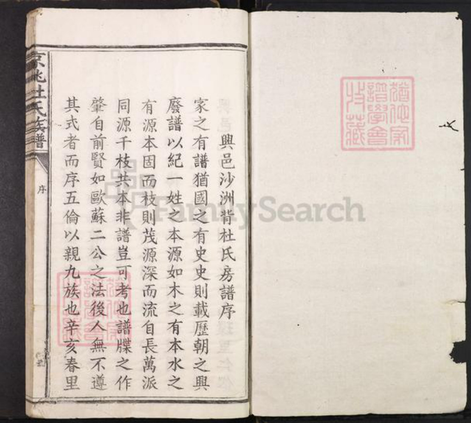 江西省赣州市兴国县端口头乡杜氏族谱-京兆杜氏族谱.pdf电子版插图1