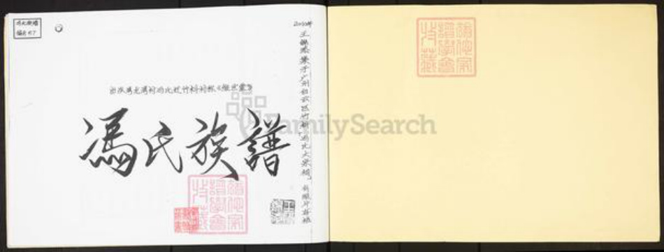 广东省广州市白云区冯氏维世堂族谱-冯氏族谱.pdf电子版插图1