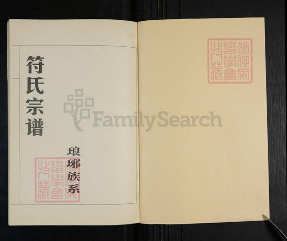 山东省临沂市兰山区符氏族谱-符氏宗谱.琅琊族系.pdf电子版插图1 山东省临沂市兰山区符氏族谱-符氏宗谱.琅琊族系.pdf电子版插图1