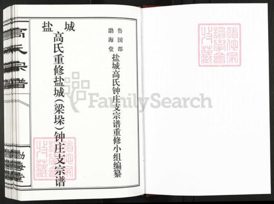 江苏省盐城市建湖县钟庄街道高氏渤海堂族谱-盐城高氏重修盐城(梁垛) 钟庄支宗谱.pdf电子版插图1