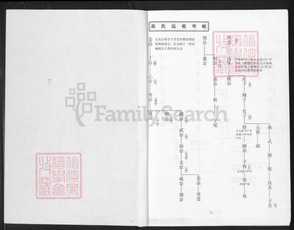 福建省泉州市晋江市安海镇高氏族谱-渤海霁江高氏溯源世系谱.pdf电子版插图1