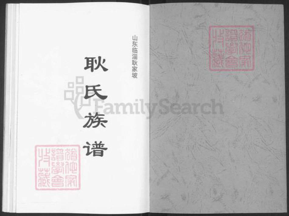 山东省淄博市临淄区朱台镇耿氏族谱-山东临淄耿家坡耿氏族谱.pdf电子版插图1