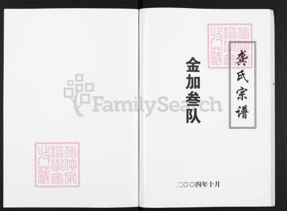 广西壮族自治区桂林市灵川县灵川龚氏族谱-龚氏宗谱.金加叁队.pdf电子版插图1