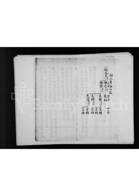 福建唐氏族谱-[唐氏家谱].pdf电子版插图1
