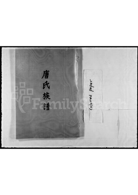 福建唐氏族谱-唐氏绮公族谱.pdf电子版插图1