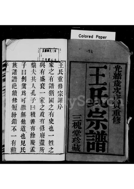 福建王氏族谱-王氏宗谱 [4卷].pdf电子版插图1